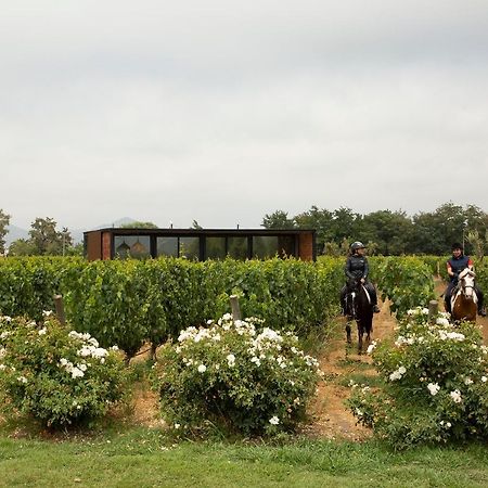 Vibo Wine Lodge At Viu Manent サンタ・クルス エクステリア 写真