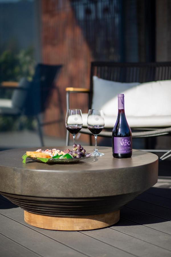 Vibo Wine Lodge At Viu Manent サンタ・クルス エクステリア 写真