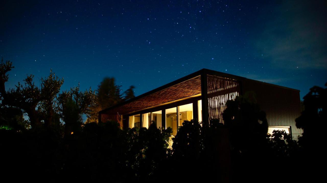 Vibo Wine Lodge At Viu Manent サンタ・クルス エクステリア 写真
