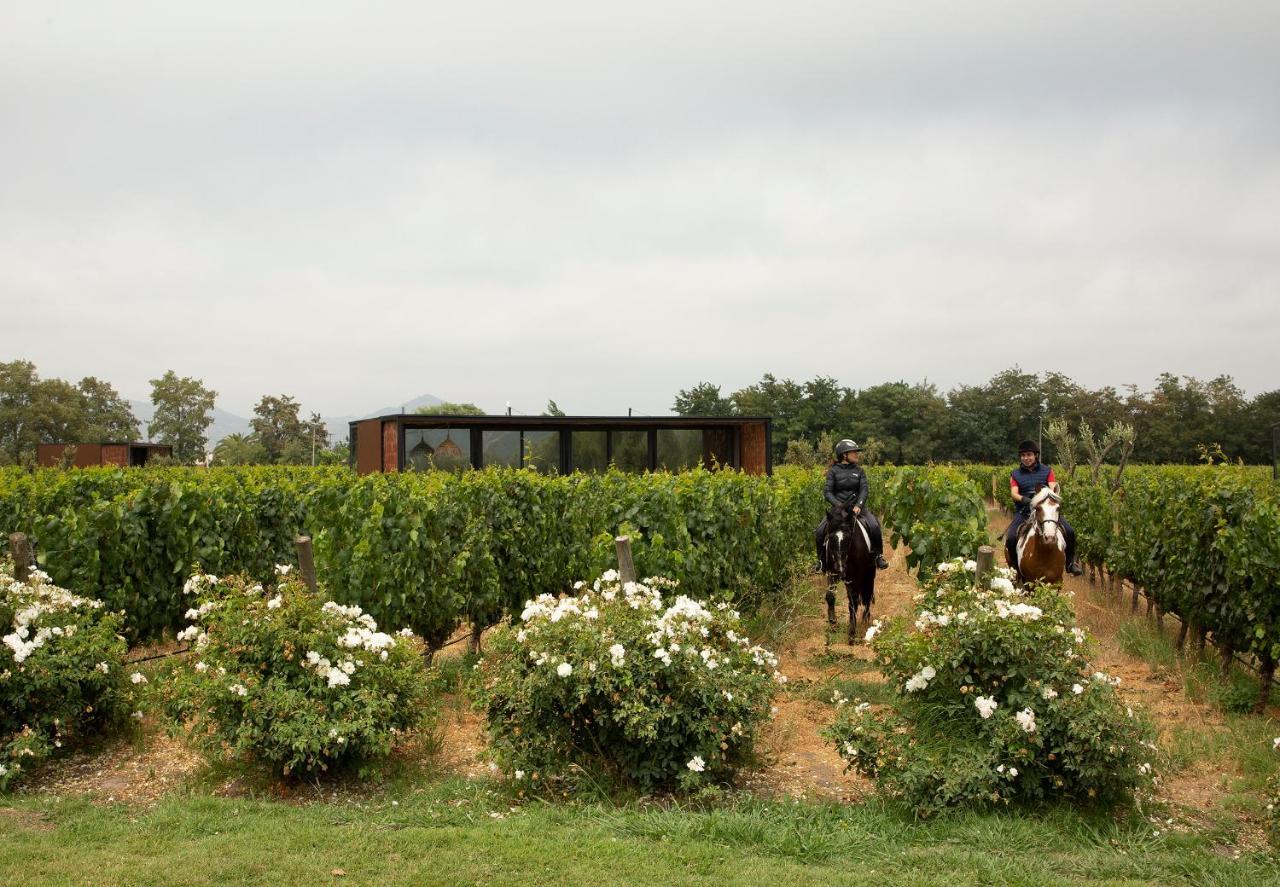 Vibo Wine Lodge At Viu Manent サンタ・クルス エクステリア 写真