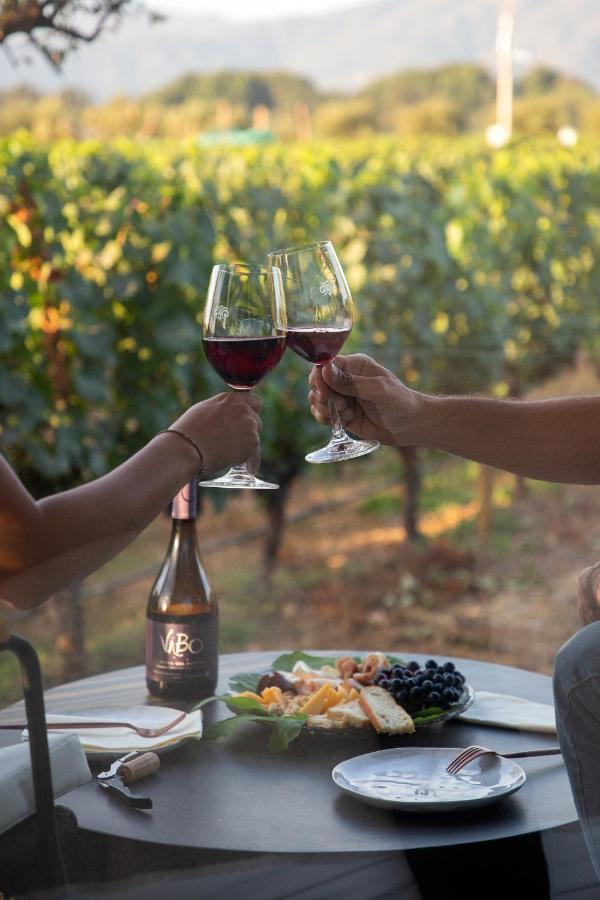 Vibo Wine Lodge At Viu Manent サンタ・クルス エクステリア 写真