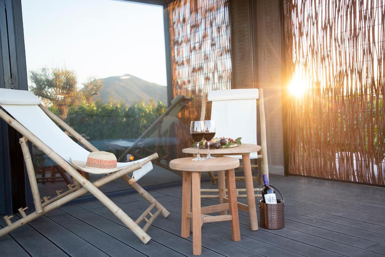 Vibo Wine Lodge At Viu Manent サンタ・クルス エクステリア 写真