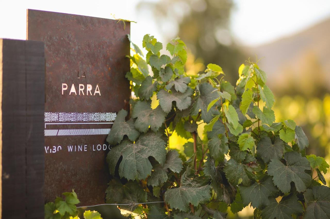 Vibo Wine Lodge At Viu Manent サンタ・クルス エクステリア 写真