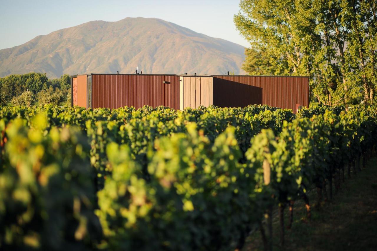 Vibo Wine Lodge At Viu Manent サンタ・クルス エクステリア 写真