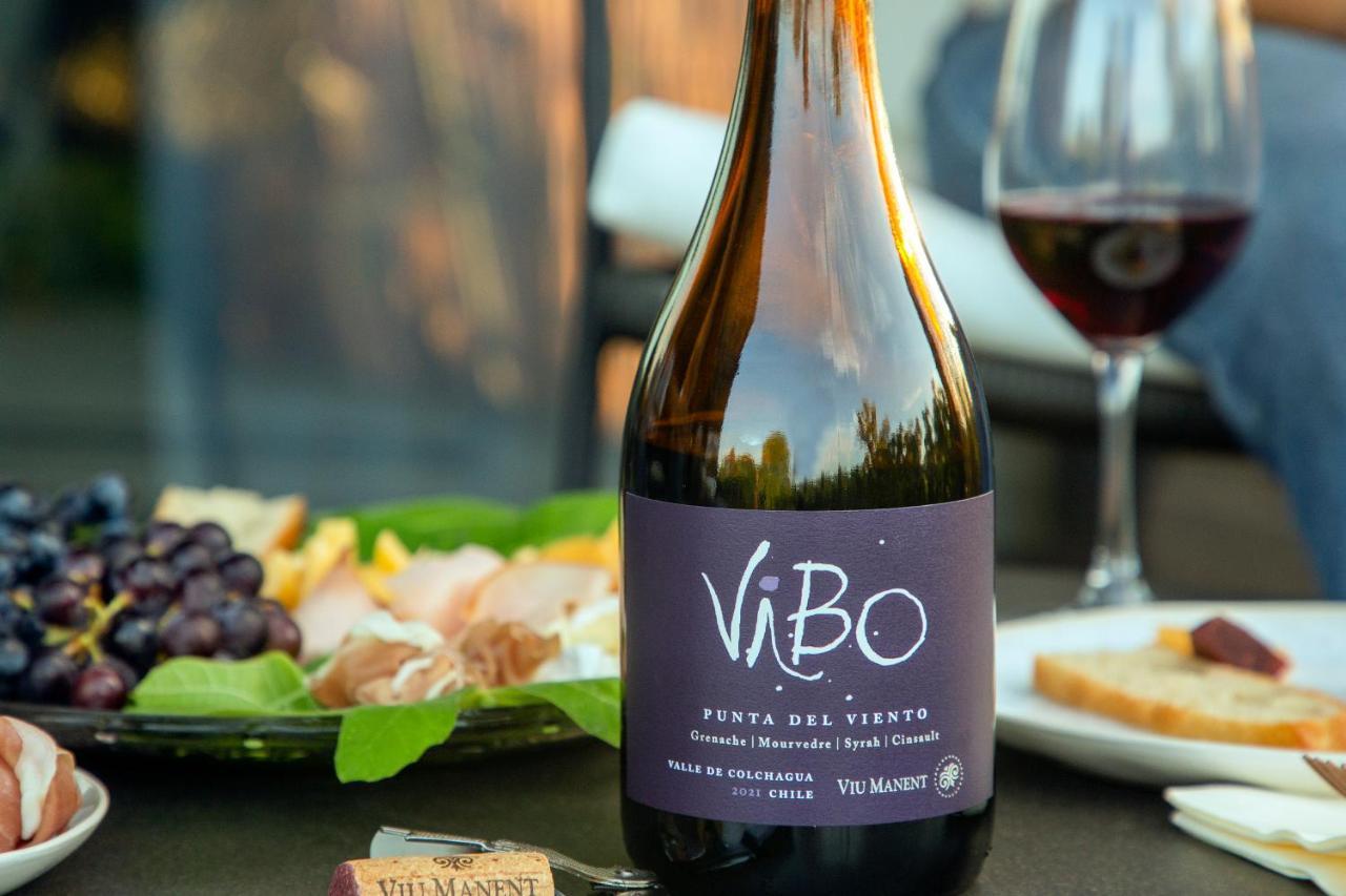 Vibo Wine Lodge At Viu Manent サンタ・クルス エクステリア 写真