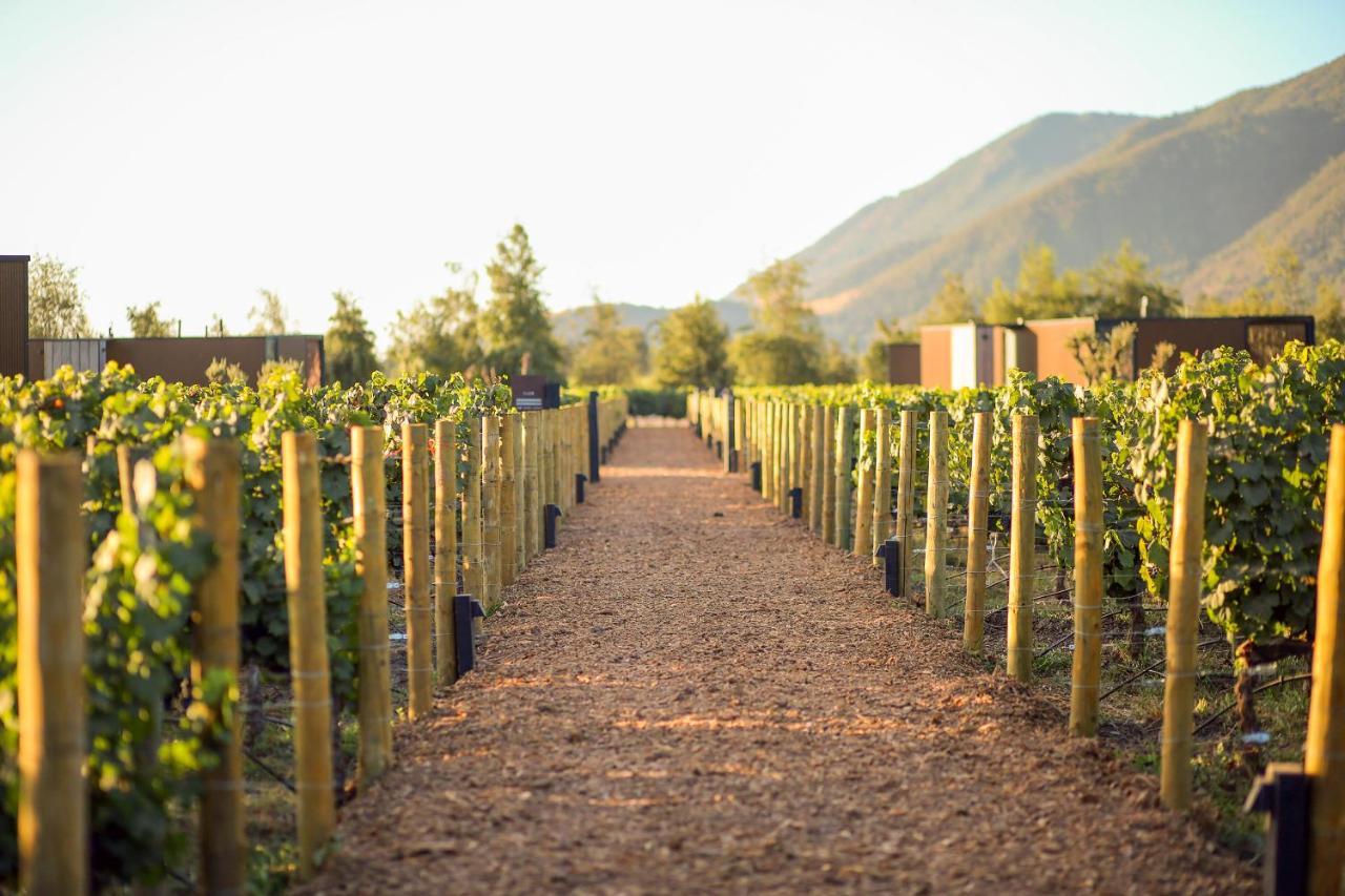 Vibo Wine Lodge At Viu Manent サンタ・クルス エクステリア 写真