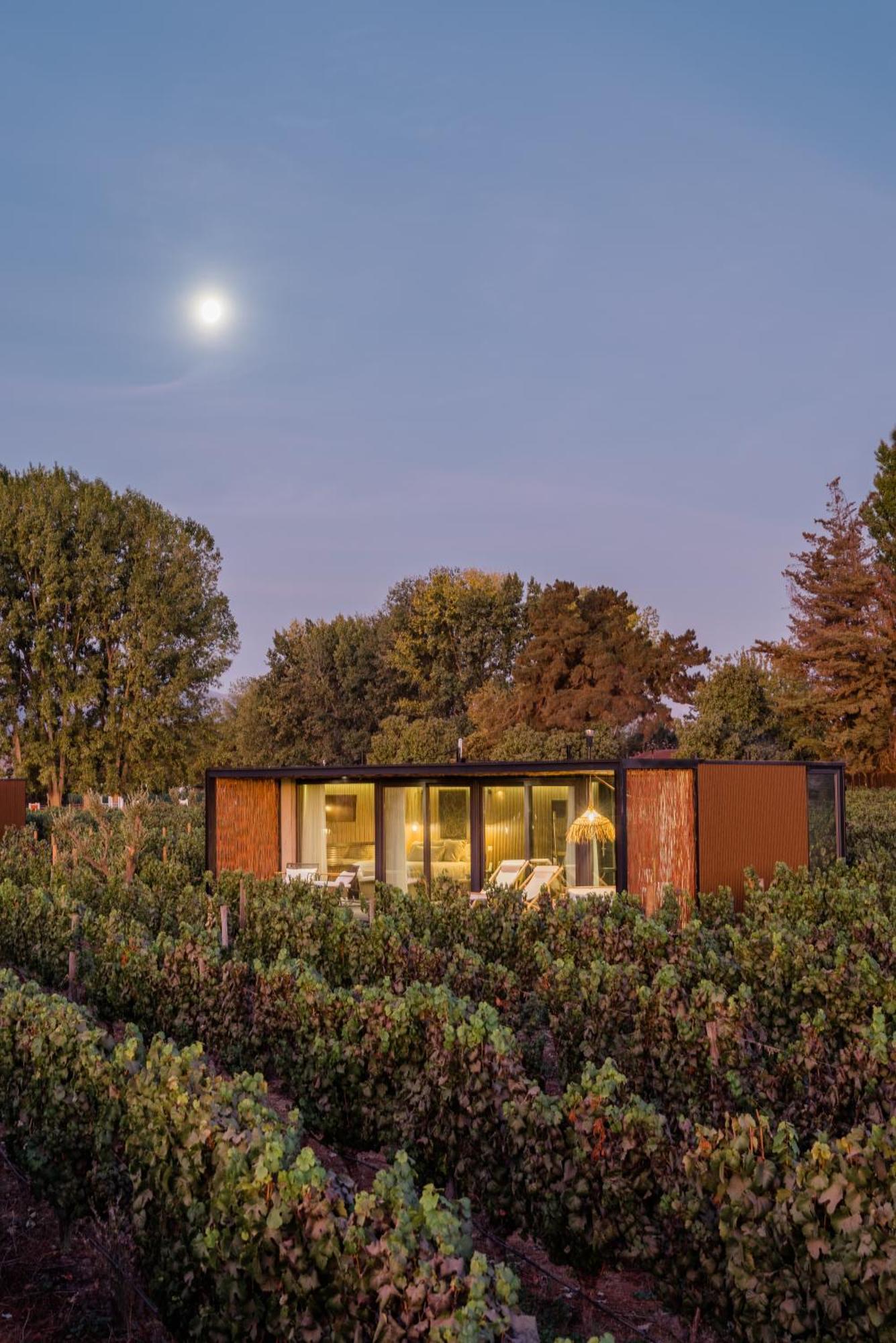 Vibo Wine Lodge At Viu Manent サンタ・クルス エクステリア 写真